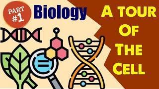 Biology Chapter 6: A Tour of the Cell (1/2)