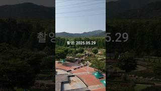 한국수자원공사가 조성한 장성 장미정원
