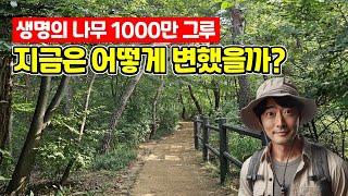 주민들이 심은 1000만 그루 |  ‍울창한 수목이 우거진 숲속 트레킹 코스 | 도심산책 | 서울산책 | 대중교통 당일치기 여행ㅣ지하철 여행ㅣ