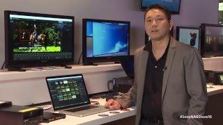New Sony Catalyst Edit Software