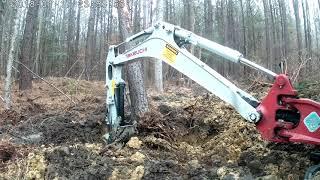 Takeuchi 216 vs pine tree.