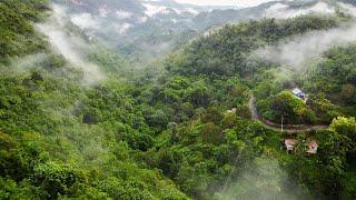 Drone Tour Jamaica: See the island from a new perspective