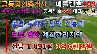 109도로에 접한 계획관리지역 논과 밭 부여땅 부여부동산