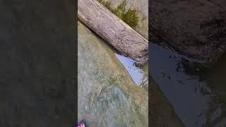 Водоспад Гук.