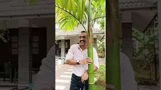 dasettan kozhikode new video 
