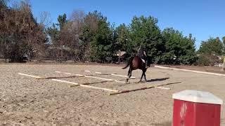 Lead changes with your OTTB