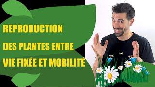 COURS DE TERMINALE SPÉCIALITÉ SVT CHAP.10: REPRODUCTION DE LA PLANTE ENTRE VIE FIXÉE ET MOBILITÉ