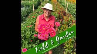 Farming Update with Steve & Gretel Adams of Sunny Meadows Flower Farm