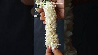 Tie jasmine flowers closely in traditional method/malaitkattu  #mallipoo #jasmine #gajra #veni #diy