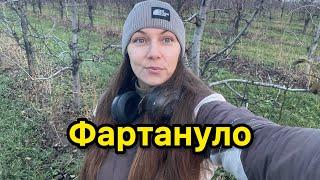 Знайшла багато монет на сільському городі: неймовірні знахідки. Рим, Середньовіччя,Царизм)))