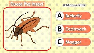 Guess the Insect | Insects name | Guess the animal | Picture Quiz | @AAtoonsKids