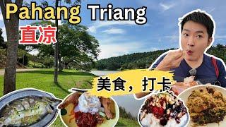 [Pahang直凉Triang～美食, 打卡] Tan Pin椰浆饭！一家人姜酒炒米粉！益珍饼家！来香巴丁鱼，福建面！98 ABC! 新光明茄汁面！快乐鸡饭！阿清猪肉粉！巴士站美食广场！叁娘善心老人院
