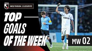 Stunning goals continue the J.League thrills! | 2024 J.LEAGUE TOP GOALS | MW 2