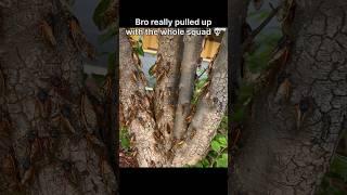Bro came with the squad  #funny #memes #trending #shorts