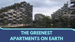 CHINA BUILDING THE GREENEST APARTMENTS ON EARTH | Daily Blast Live