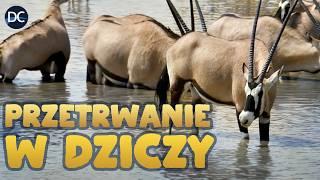 Przetrwanie w Dziczy: W poszukiwaniu wody | Dokument o życiu dzikich zwierząt | Lektor PL