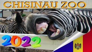 ZOO CHISINAU 2022 #MOLDOVA