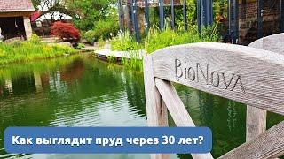 Плавательный пруд через 30 лет?