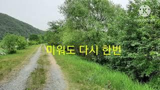 #미워도다시한번 #임영웅 #곡관소프라노 #연주