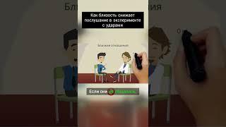 Как близость снижает послушание в эксперименте с ударами  #бизнес #бизнестренинги #инвестиции