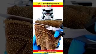 Weef tripe (गोमांस) undar the microscope मास view #facts #shortvideo #shorts #short #shortsvideo