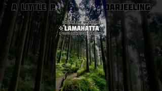 Lamahatta | Darjeeling | West bengal | #travel #trending #explore #darjeeling  #lamahatta