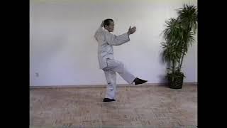 Ben Lo Performs Cheng Man-Ching's 37 Posture Form - No Sound   Chapters