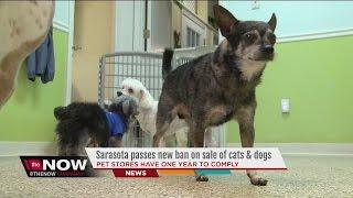 Sarasota County bans sell of cats and dogs at pet stores