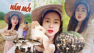 Về Quê Hái Nấm Mối 