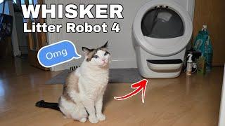 Whisker Litter Robot 4 | Unboxing | Automatic Cat Litter