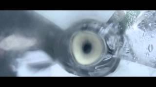 Danny Feng: Earth After Humans: Day 1