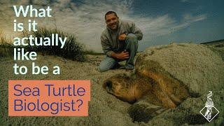 What is it ACTUALLY like to be a sea turtle biologist? | SciAll.org