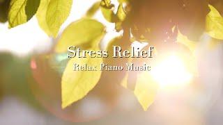 【Stress Relief 釋放壓力】放鬆音樂 | 鋼琴音樂 | 鳥聲 | Natural Sound | Piano Music | Light Music | Relax Music