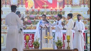 Holy Mass | Syro Malankara | Fr Robin Manakalathu | Goodness TV