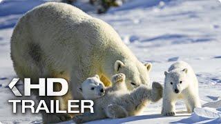 WILDES KANADA Trailer German Deutsch (2014)