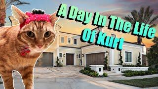 A Day in the Life of Kurt the Cat