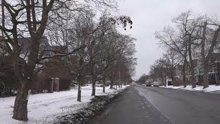 Buffalo residents unhappy with forestry department plans to cut down trees on Niagara street