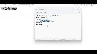 lang attribute usage in html | HOW TO PUT TELUGU LANGUAGE TEXT IN HTML and translate to english