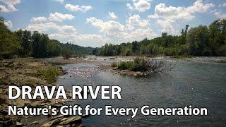 Drava River - Nature's Gift for Every Generation