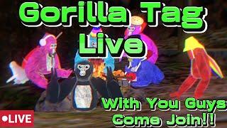 New Gorilla Tag Live Stream | Come Join !!