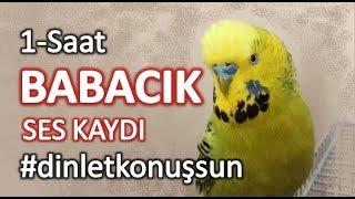 Babacık ses kaydı reklamsız #dinletkonuşsun