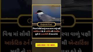 Gujarati Fact | Amazing fact | Gujarati  | gajab fact | fact in Gujarati | Gujarati ajab gajab #fact