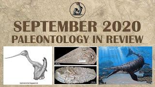 New Fossils and Paleontology- September 2020