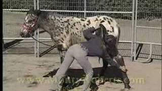 Monty Roberts Gentling Your Spooky Horse