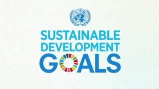 Transitioning from the MDGs to the SDGs