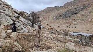 Jahangir and Maryam's efforts to collect farm stones for the future garden | nomadic life