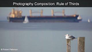 Applying the Golden Mean and the Rule of Thirds in Photography