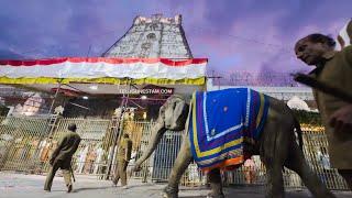 Heavenly Look Of Tirumala Sri Venkateswara Swamy Temple With Beautiful Clouds