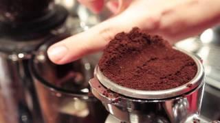 Quick Start Guide to Making Espresso