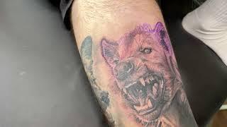 LIVE TATTOO: Hyena, African dog